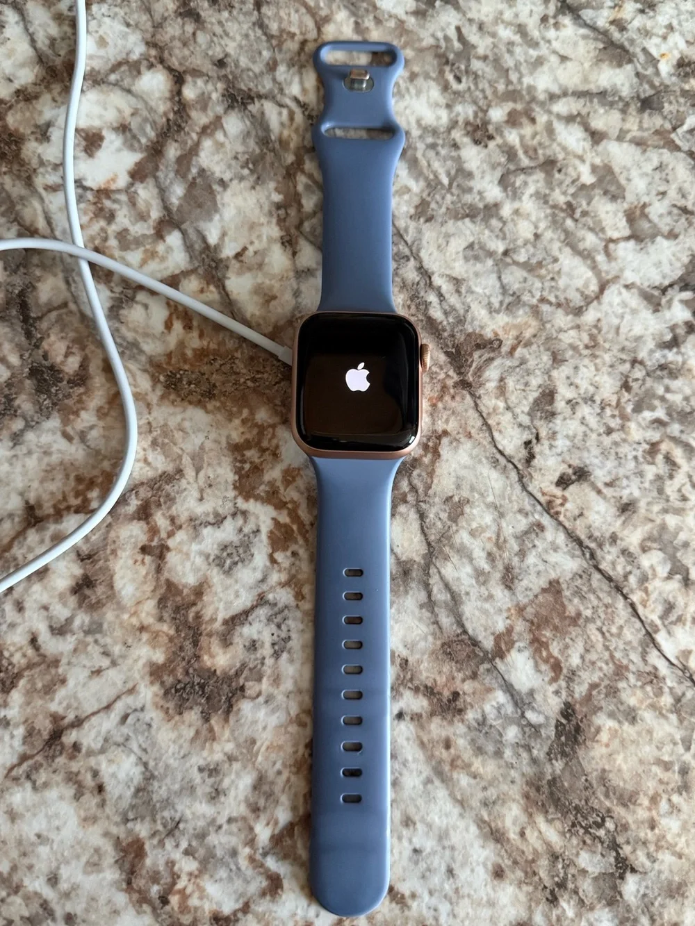 Blue Silicone Band Smartwatch with Gold-Tone Case